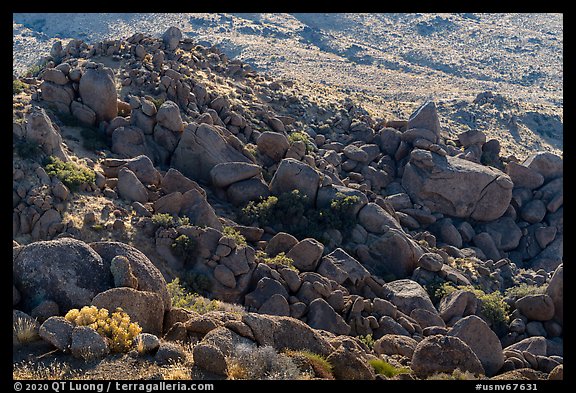 Field of granite boulders. Gold Butte National Monument, Nevada, USA (color)