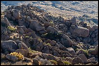 Field of granite boulders. Gold Butte National Monument, Nevada, USA ( color)