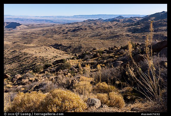 Looking north from Gold Butte Peak. Gold Butte National Monument, Nevada, USA (color)