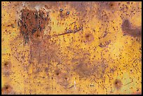 Detail of rusted metal with bullet holes, Gold Butte townsite. Gold Butte National Monument, Nevada, USA ( color)