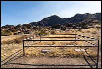 Graves of William Garrett and Arthur Coleman, Gold Butte townsite. Gold Butte National Monument, Nevada, USA ( color)