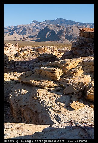 Sandstone outcrop and Virgin Mountains. Gold Butte National Monument, Nevada, USA