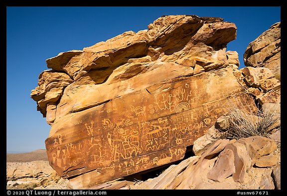 Newspaper Rock with petroglyphs, early morning. Gold Butte National Monument, Nevada, USA (color)