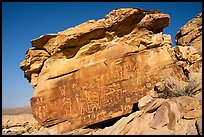 Newspaper Rock with petroglyphs, early morning. Gold Butte National Monument, Nevada, USA ( color)
