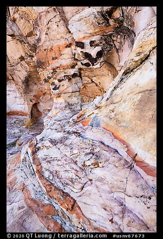 Detail of sandstone wall. Gold Butte National Monument, Nevada, USA