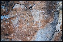 Close-up of snake and Pahranagat Man petroglyph, Shooting Gallery. Basin And Range National Monument, Nevada, USA ( color)
