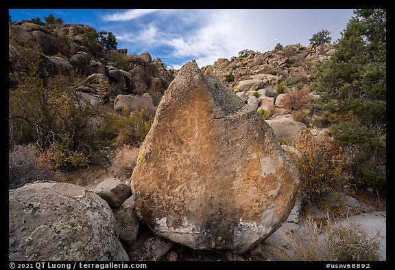 Boulder with petroglyphs, Shooting Gallery. Basin And Range National Monument, Nevada, USA