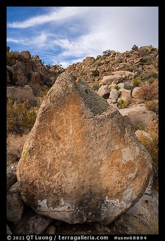 Pointed rock with petroglyphs, Shooting Gallery. Basin And Range National Monument, Nevada, USA
