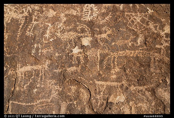 Close-up of densely packed petroglyphs, Shooting Gallery. Basin And Range National Monument, Nevada, USA (color)
