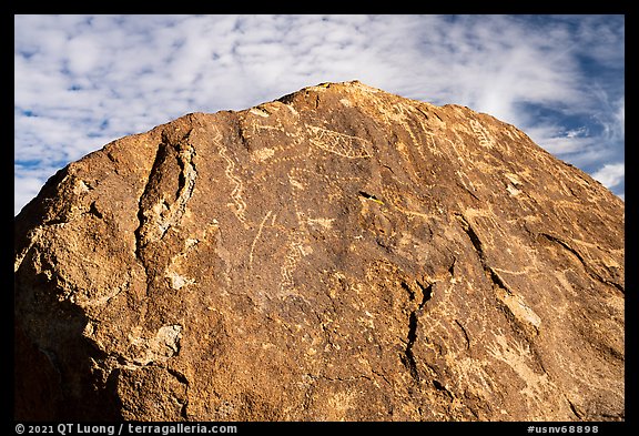 Boulder with densely packed petroglyphs and sky, Shooting Gallery. Basin And Range National Monument, Nevada, USA