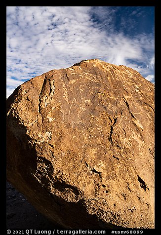 Boulder with dense petroglyphs against the sky, Shooting Gallery. Basin And Range National Monument, Nevada, USA