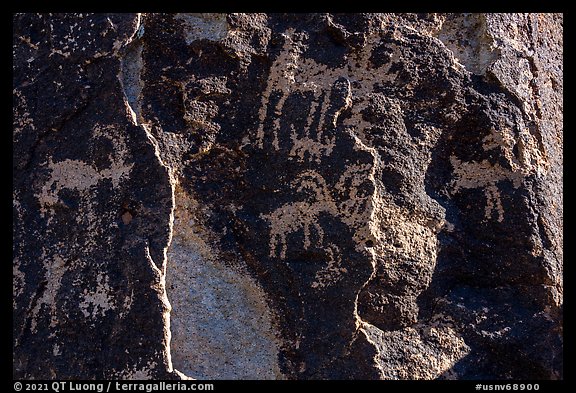 Sheep petroglyphs and light, Shooting Gallery. Basin And Range National Monument, Nevada, USA