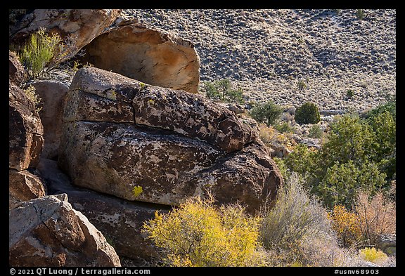 Seven sheep rock art panel, Shooting Gallery. Basin And Range National Monument, Nevada, USA (color)