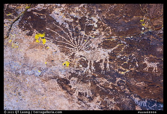 Starburst deer petroglyph panel, Shooting Gallery. Basin And Range National Monument, Nevada, USA (color)