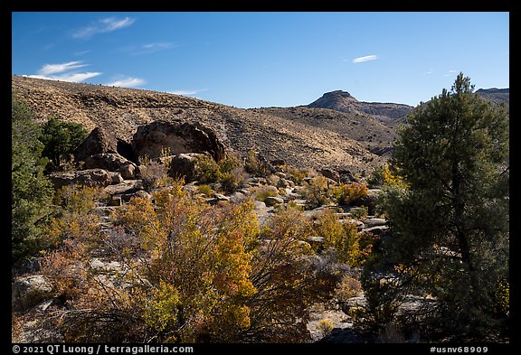 Shooting Gallery petroglyph area. Basin And Range National Monument, Nevada, USA