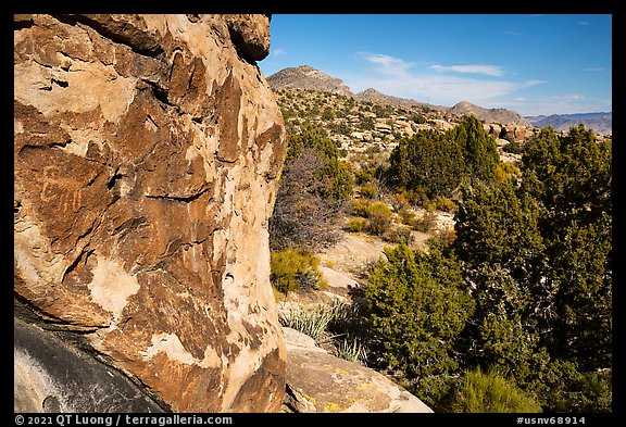 Petroglyphs on Shaman Hill, Mount Irish Archeological Area. Basin And Range National Monument, Nevada, USA