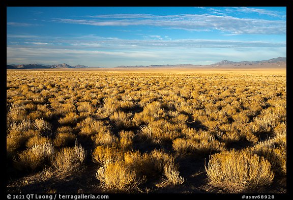 Coal Valley, late afternoon. Basin And Range National Monument, Nevada, USA