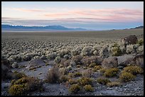 Garden Valley, sunset. Basin And Range National Monument, Nevada, USA ( color)