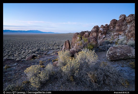 Blooms and volcanic ash boulders, Garden Valley. Basin And Range National Monument, Nevada, USA (color)