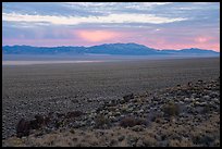 Garden Valley and Grant Range, sunrise. Basin And Range National Monument, Nevada, USA ( color)