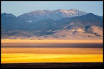 Worthington Peak from Garden Valley at sunrise. Basin And Range National Monument, Nevada, USA ( color)