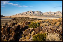 Volcanic boulders and Meeker Peak. Basin And Range National Monument, Nevada, USA ( color)