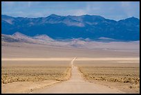 Road through Garden Valley. Basin And Range National Monument, Nevada, USA ( color)