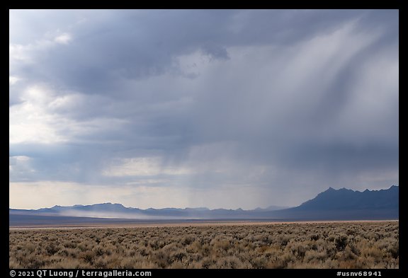 Sagebrush and distant storm, Garden Valley. Basin And Range National Monument, Nevada, USA (color)
