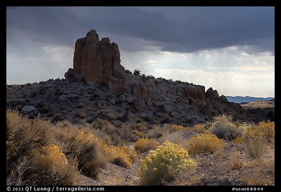 Blooms and rock pinnacle under stormy sky, Seaman Range. Basin And Range National Monument, Nevada, USA