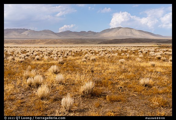 Sparse sagebrush and mountains, Seaman Range. Basin And Range National Monument, Nevada, USA (color)