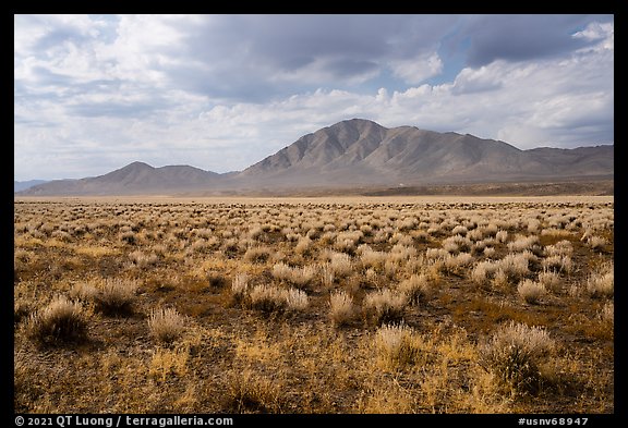 Sagebrush and Seaman Range mountains. Basin And Range National Monument, Nevada, USA (color)