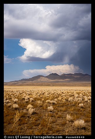 Clearing stom clouds over mountains, Seaman Range. Basin And Range National Monument, Nevada, USA