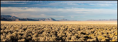 Coal Valley and Golden Gate Range. Basin And Range National Monument, Nevada, USA (Panoramic color)