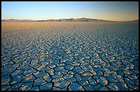 Ancient lakebed with cracked dried mud, sunrise, Black Rock Desert. Nevada, USA (color)