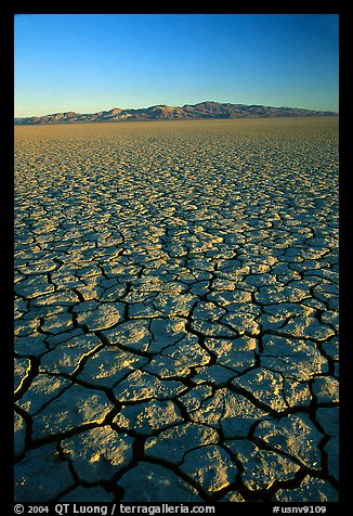 Dry Lakebed  with cracked dried mud, sunrise, Black Rock Desert. Nevada, USA