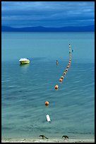 Two birds, buoy line and boat, South Lake Tahoe, California. USA