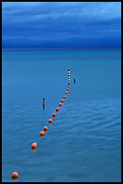 Orange Buoy line, blue hour, South Lake Tahoe, California. USA