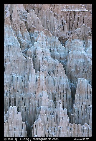 Shale and mudstone eroded in fantastic shapes, Cathedral Gorge State Park. Nevada, USA (color)