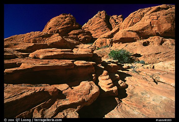 Red sandstone formations, Red Rock Canyon. Red Rock Canyon, Nevada, USA