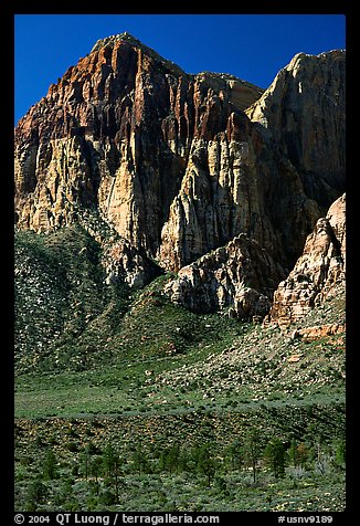 Tall cliffs. Red Rock Canyon, Nevada, USA