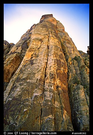 Tall sandstone wall with rock climbers. Red Rock Canyon, Nevada, USA