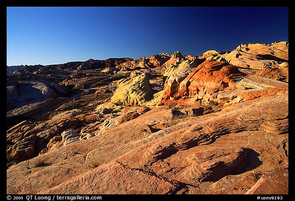 Colorful sandstone formations, early morning, Valley of Fire State Park. Nevada, USA
