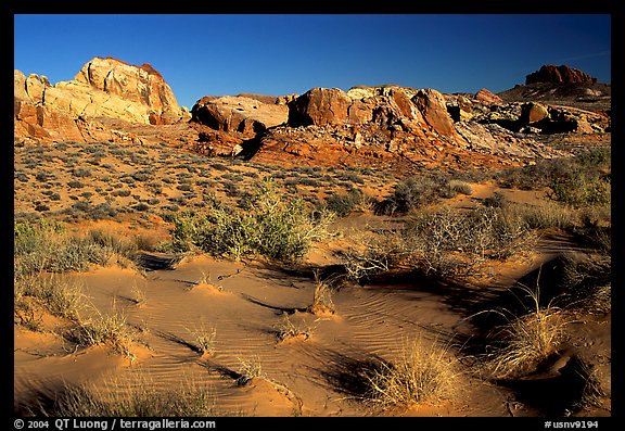 Sand ripples and rock formations, Valley of Fire State Park. Nevada, USA