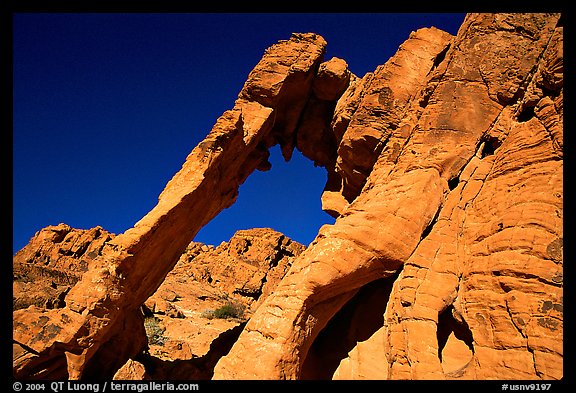 Elephant-shaped rock, Valley of Fire State Park. Nevada, USA (color)