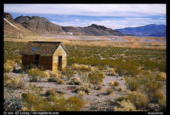 Cabin, Rhyolite ghost town. Nevada, USA (color)