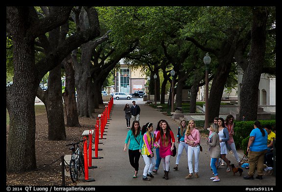 Women students in tree-covered alley, University of Texas. Austin, Texas, USA (color)