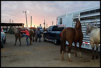 Trailers and horses. Fort Worth, Texas, USA ( color)