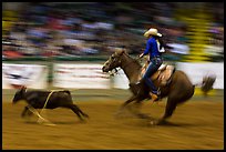 Individual roping, Stokyards Championship Rodeo. Fort Worth, Texas, USA ( color)