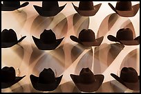 Cowboy hats and shadows. Fort Worth, Texas, USA ( color)