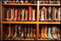 Leather cowboy boots for sale. Fort Worth, Texas, USA ( color)